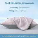 Summer Cooling Pillowcase Solid Color Ice Bean Bean Pillowcase Cool Feeling Air Conditioning Cover Washable  (No Pillow) 48x74cm